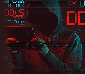 DDoS Protection